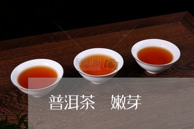 普洱茶 嫩芽/2023042868576